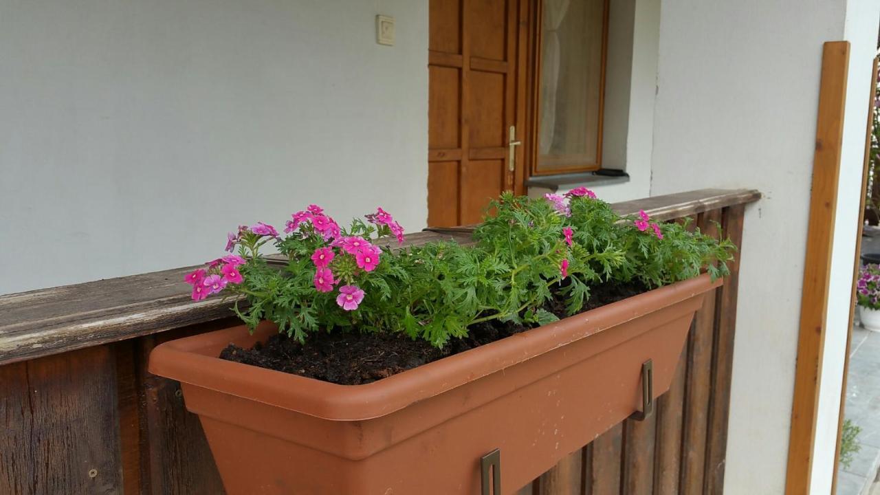 Elo Tisza Vendeghaz Hotel Nagykoru ภายนอก รูปภาพ