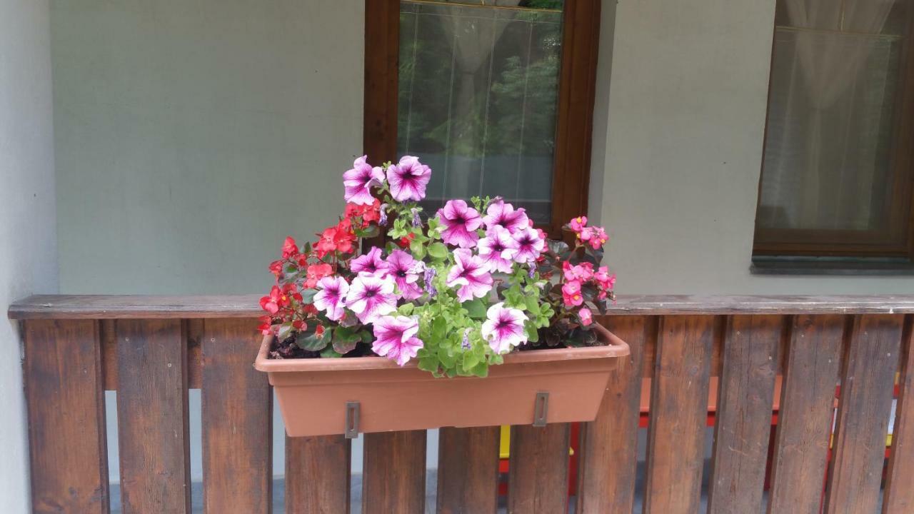 Elo Tisza Vendeghaz Hotel Nagykoru ภายนอก รูปภาพ